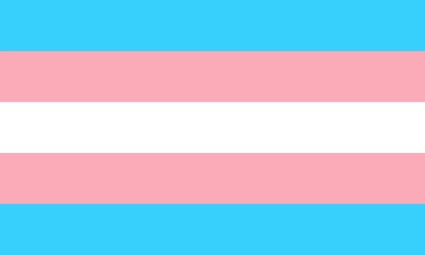 31. März: International Transgender Day of Visibility