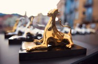 Award-Kategorien in Locarno werden genderneutral