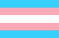 31. März: International Transgender Day of Visibility