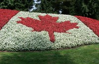 Neues Teilnehmerland - der Eurovision wird nun noch interkontinentaler...