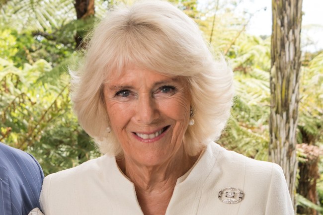 Queen Camilla postet ein Foto während dem Pride Month - und es geht mächtig schief...
