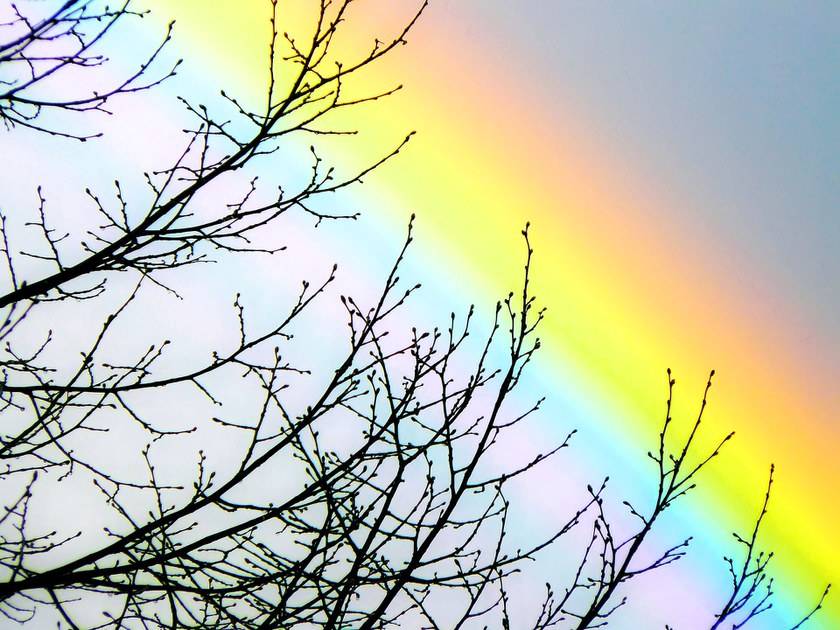 Regenbogen über London = Spende an LGBT-Organisation