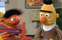 Sorge um Ernie und Bert