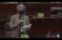 Watch: Abgeordnete in Nevada hat ihr Coming out im Parlament