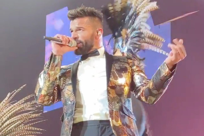 Watch: Attacke gegen Ricky Martin während Konzert in Montenegro