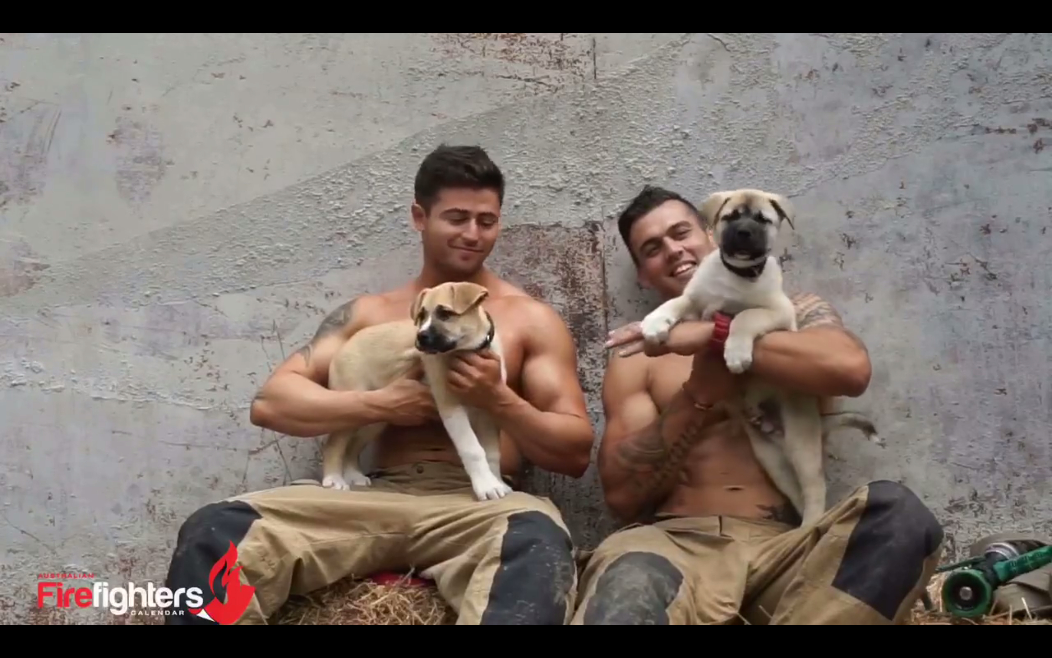 looking for hookup Arlington