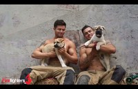 Watch: Australian Firefighters Puppy Calender