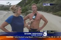 Watch: Die Hai-Sichtung wurde urplötzlich zur Nebensache...