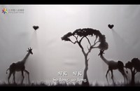 Watch: Die süsse Liebesgeschichte zweier schwuler Giraffen