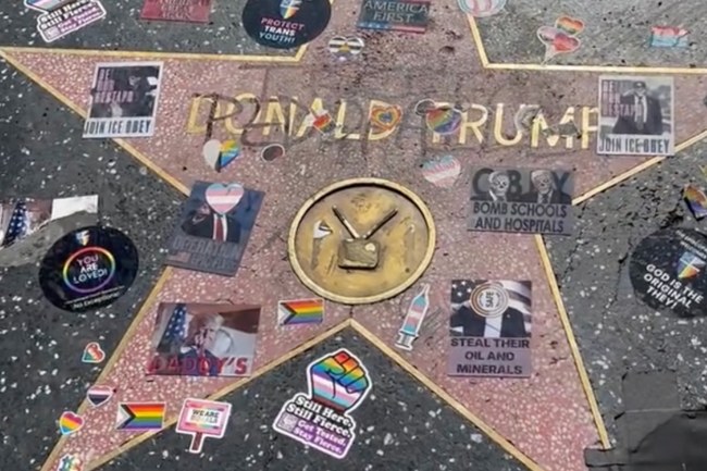 Watch: Donald Trumps Walk Of Fame-Stern nach der Los Angeles Pride