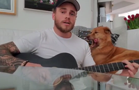 Watch: Eine Gitarre, ein desinteressierter Hund und Gus Kenworthy