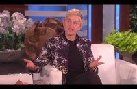 Watch: Ellen will Trump nicht als Gast