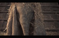 Watch: Erster Teaser für Dumbo