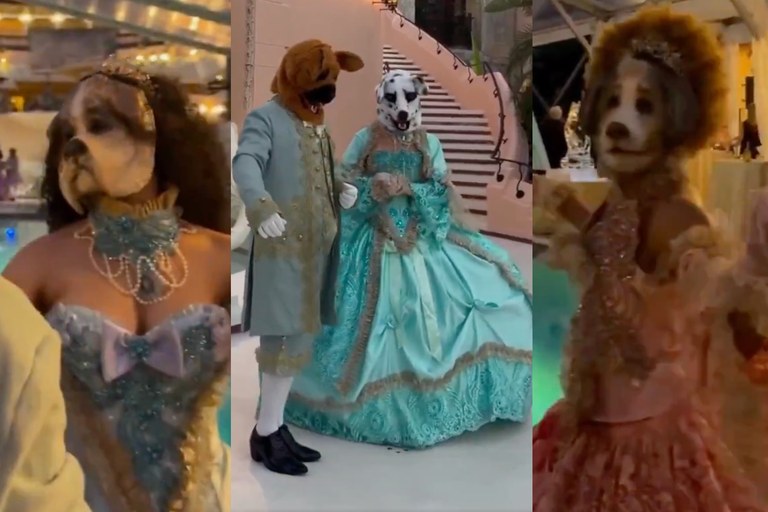Watch: Furry Party in Trumps Mar-a-Lago?