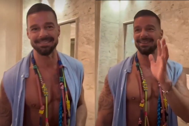 Watch: Oh la la... Ricky Martin feiert am Carnival in Rio