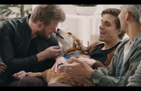 Watch: Queer Eye Puppy Makeover