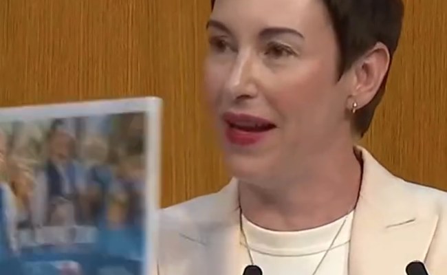 Watch: Rechtspopulisten nutzen KI - und es wurde ziemlich queer!