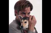 Watch: TIFF Hot Celebs with Puppies!