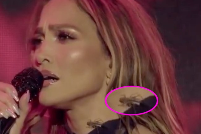 Watch: Und plötzlich wandert ein Grashüpfer über J.Lo's Hals...