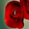 29. Queersicht - LGBTIAQ+ Filmfestival Bern