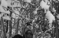 andy-schnee.JPG