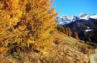 TRAVEL: Wunderschöne Herbst-Wanderung für 2 Personen zu gewinnen