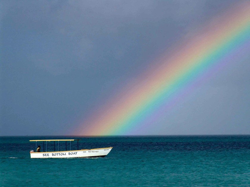 JAMAIKA: Der internationale Druck auf Anti-Gay-Gesetze nimmt zu