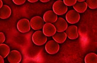KANADA: Blutspendeverbot soll weiter gelockert werden