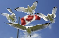 KANADA: Hürden für Samenspende durch schwule und bisexuelle Männer abgebaut