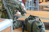 SCHWEIZ: Diskriminierungen in der Armee sind häufiger als in der Gesellschaft