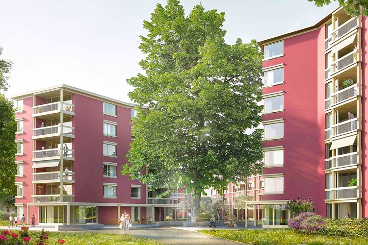 SCHWEIZ: Grundstein für das Zürcher Pionierprojekt queerWohnen gelegt