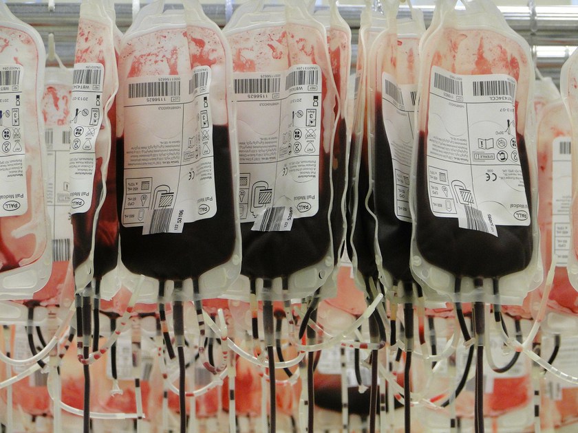 SCHWEIZ: Pink Cross lanciert Blutspende-Petition