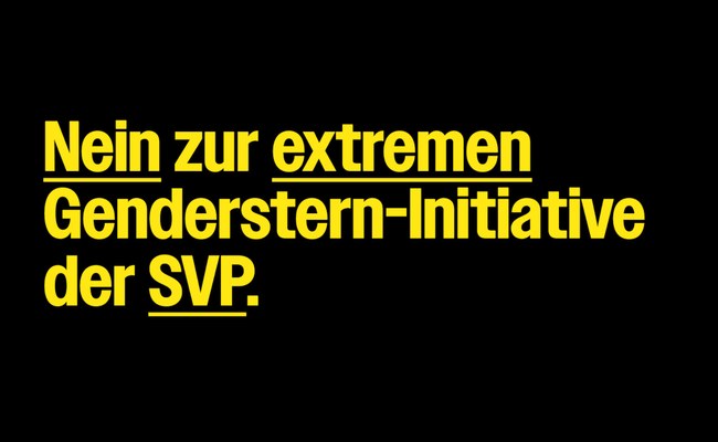 SCHWEIZ: Unterstütze die Kampagne "Nein zur extremen Genderstern-Initiative der SVP" in der Stadt Zürich