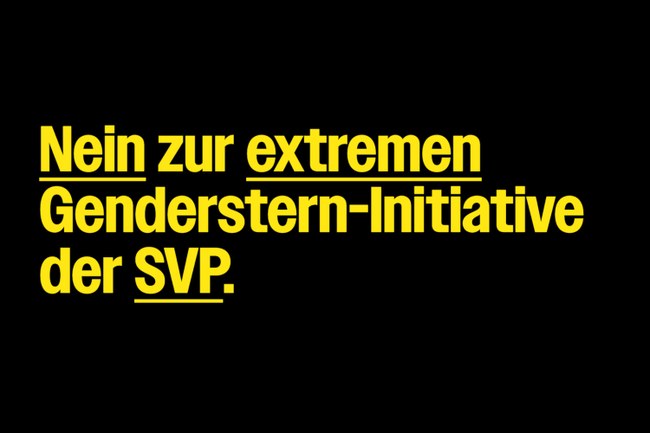 SCHWEIZ: Unterstütze die Kampagne "Nein zur extremen Genderstern-Initiative der SVP" in der Stadt Zürich