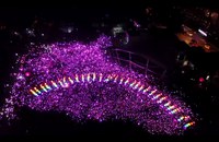 SINGAPUR: Trotz strikter Auflagen der Regierung kamen 20'000 ans Pink Dot