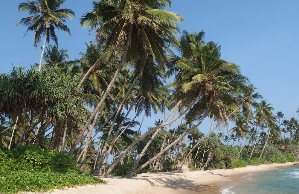 SRI LANKA will LGBTI+ Tourismus nun doch nicht mehr unterstützen