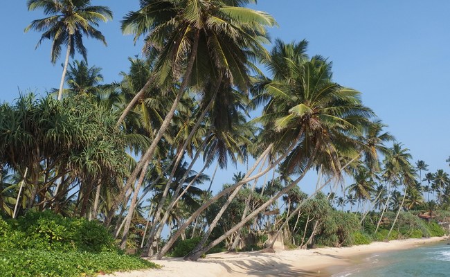 SRI LANKA will LGBTI+ Tourismus nun doch nicht mehr unterstützen