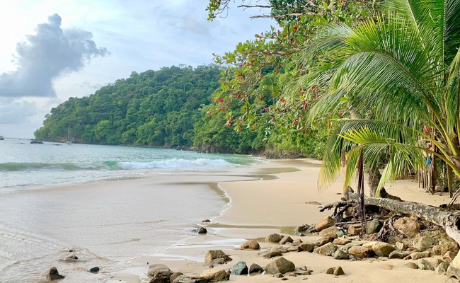 TRINIDAD & TOBAGO: Wird Homosexualität nun doch noch entkriminalisiert?
