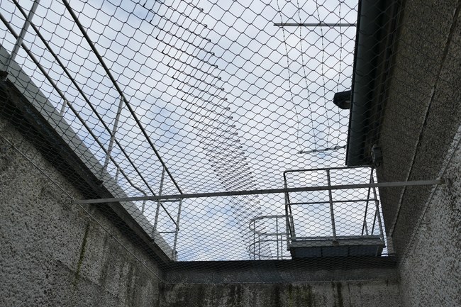 TUNESIEN: Behörden haben eine neue Verhaftungswelle gestartet