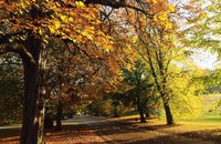 UK: Behördengehen gegenCruising inLondoner Park vor