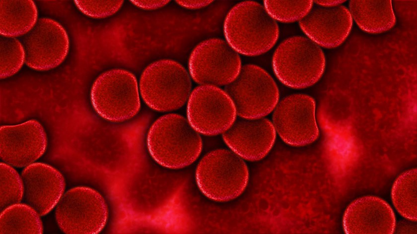 UK: Blutspendeverbot soll erneut überprüft werden