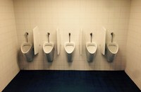 USA: 200 Verhaftungen wegen Cruising in New Yorks Bahnhof-WC