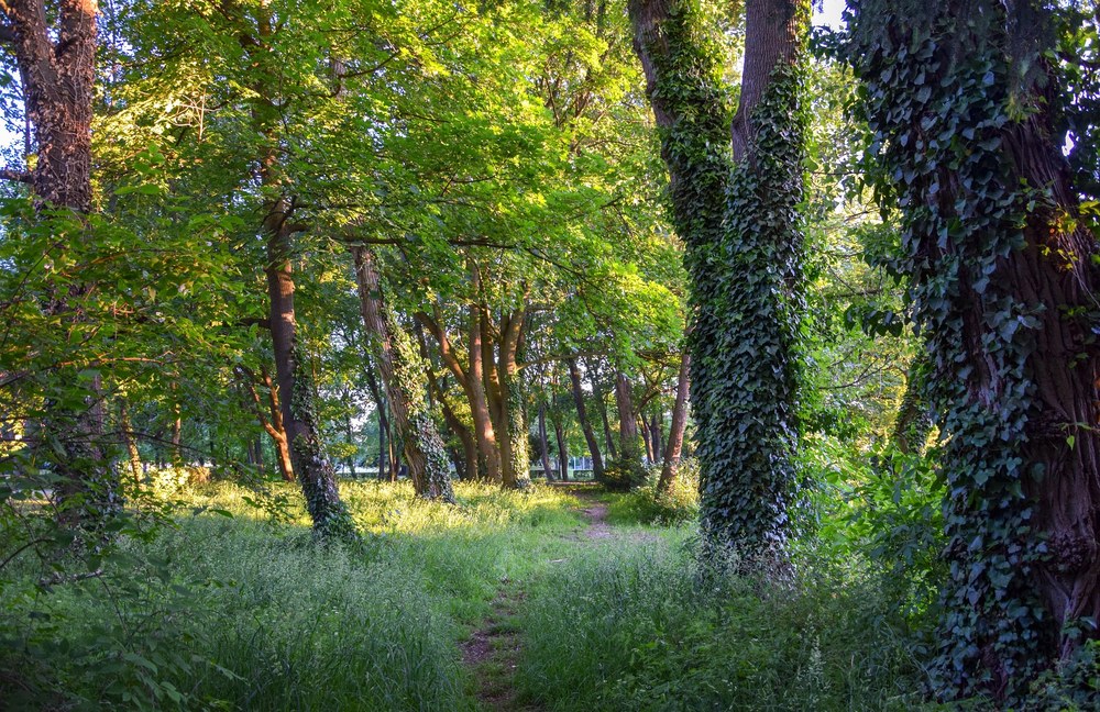 USA: Bekannter Cruising Park in New York soll familienfreundlich werden