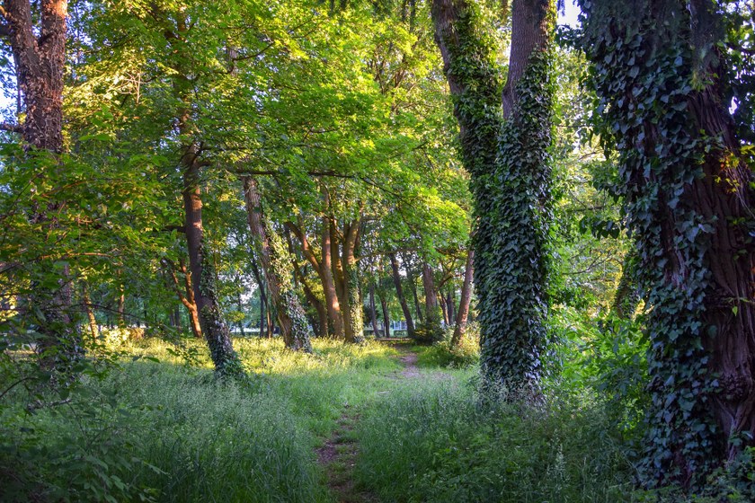 USA: Bekannter Cruising Park in New York soll familienfreundlich werden