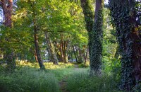 USA: Bekannter Cruising Park in New York soll familienfreundlich werden