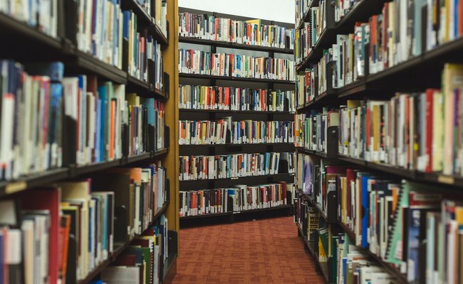 USA: Bibliothekarin wurde gefeuert - doch der Support für sie ist überwältigend