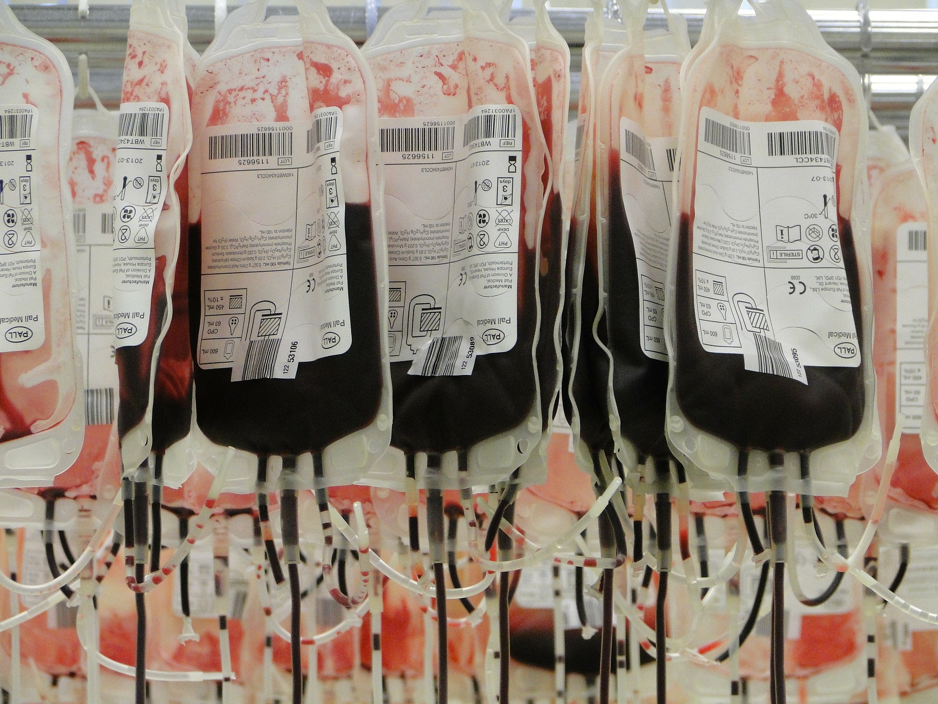 Usa Lockerung Des Blutspendeverbots Bei Msm Hat Hiv