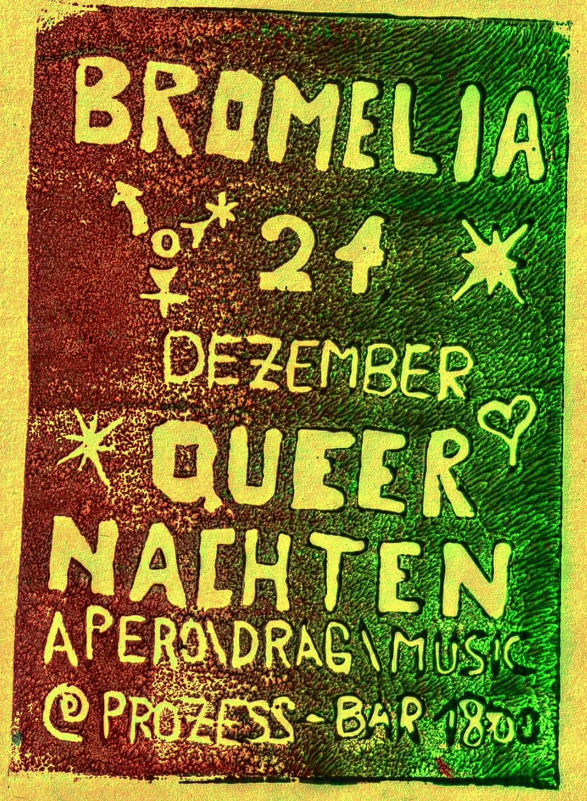 Bromelia Queernachten