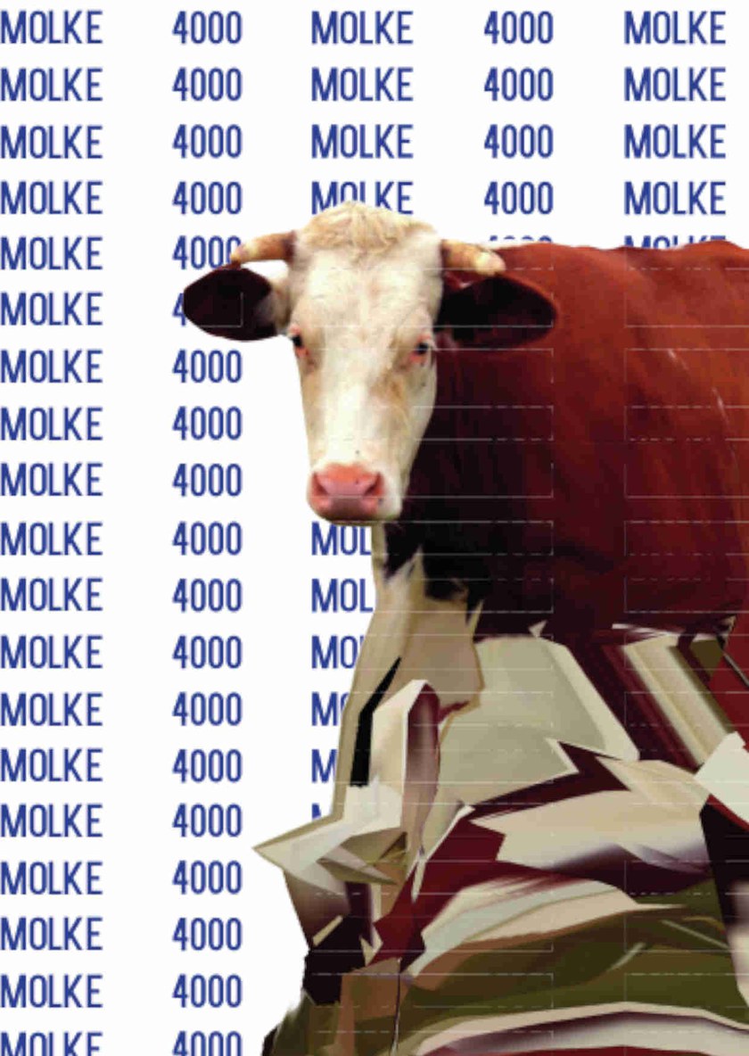 Molke 4000