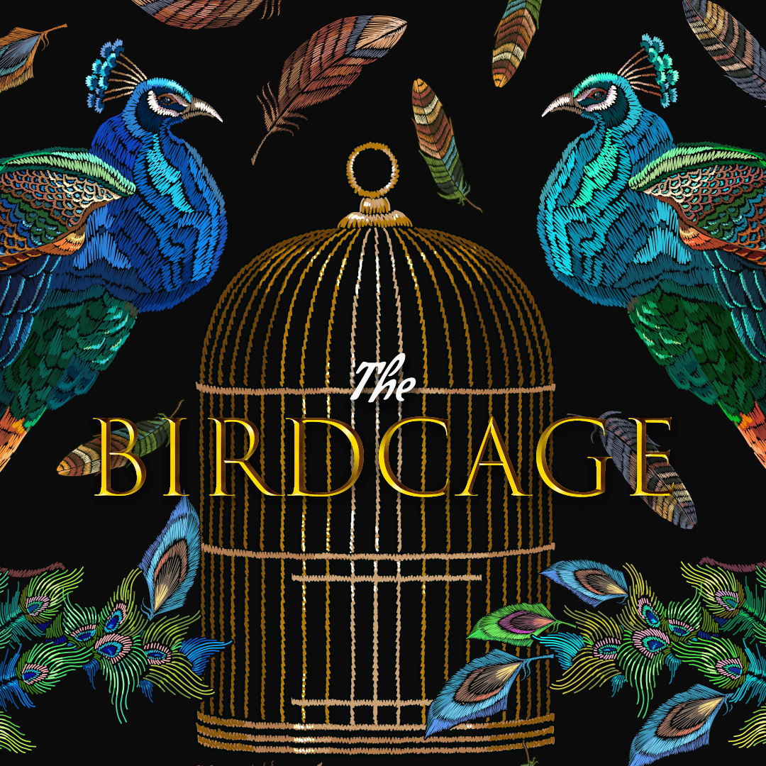 The Birdcage — GAY.CH · Alles bleibt anders!